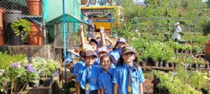 ings_Field Trip- Dragon Farm.